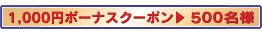 1,000円ボーナスクーポン＞500名様