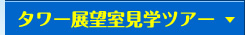 タワー展望室見学ツアー