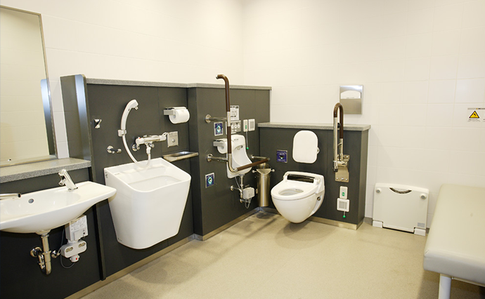 Toilets / Multipurpose Toilets photo